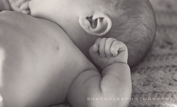 callie newborn